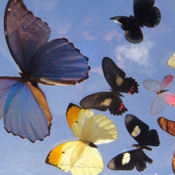 meet me - Picture 1 of 1